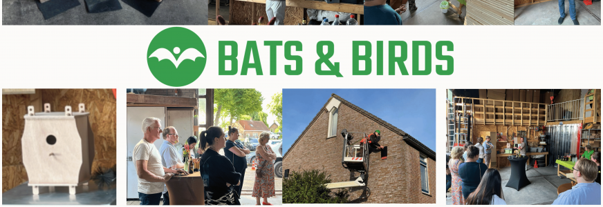 Van Keukenzetter tot Eco-Ondernemer: "Koop gewoon dat gereedschap!" 🦇🐦